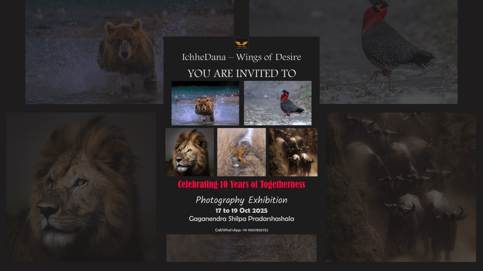 Mountain Wilderness Adventure